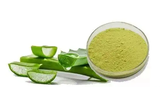 探索皮膚衛士蘆薈苦素，揭開天然護膚新革命